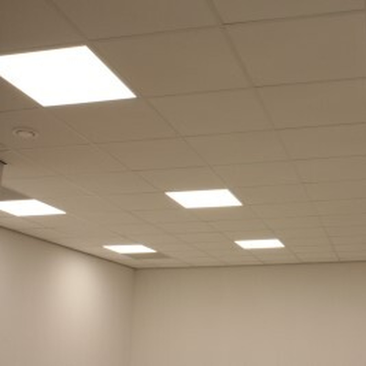 Led-panelen en Downlicht